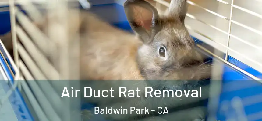  Air Duct Rat Removal Baldwin Park - CA