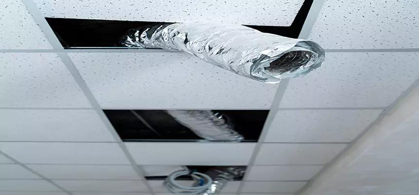 Affordable HVAC Sanitizing After Pest Removal in Baldwin Park