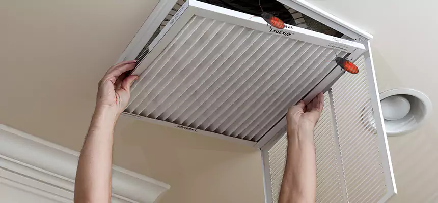 Our Insect Removal from Air Ducts Services in Baldwin Park, CA