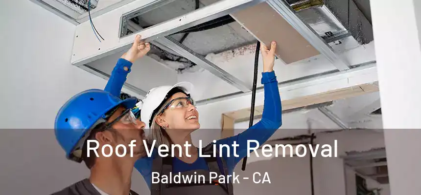  Roof Vent Lint Removal Baldwin Park - CA