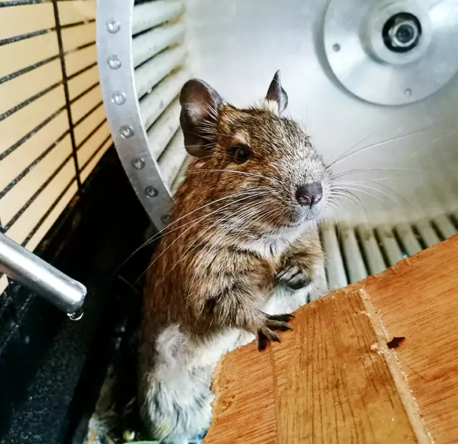 Why Homeowners & Businesses Trust Us Baldwin Park, CA?