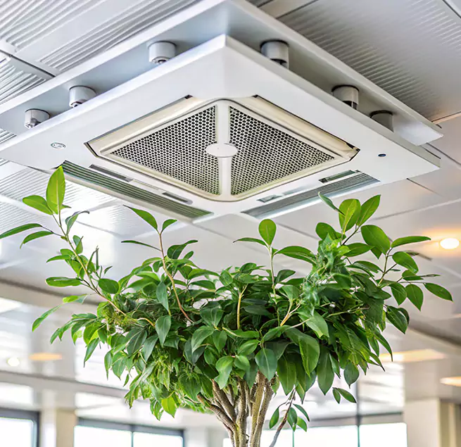 Why Homeowners & Businesses Trust Us in Baldwin Park, CA?